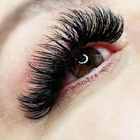 Classic Eyelash Extensions Training course