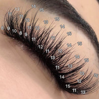 Classic Eyelash Extensions Training course