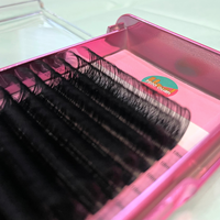 Classic Eyelash Extensions Training course