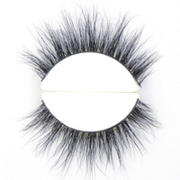 A02 Strip Lashes