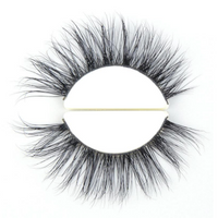 A04 Strip Lashes